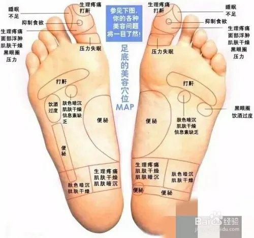 详细脚部穴位图解