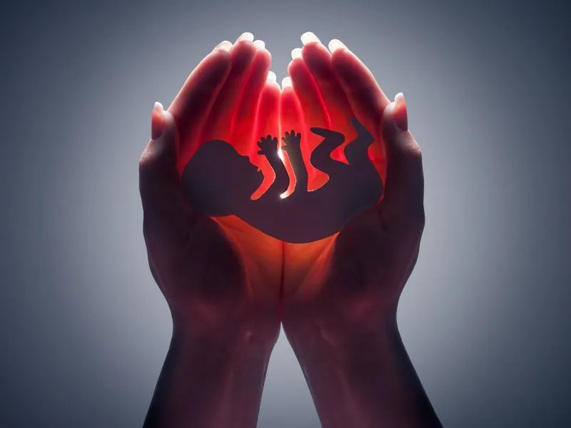 造成死胎的原因