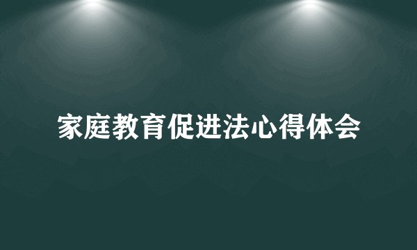 家庭教育促进法心得体会