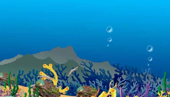 2023年国际生物多样性日是哪天 2023年国际生物多样性日主题