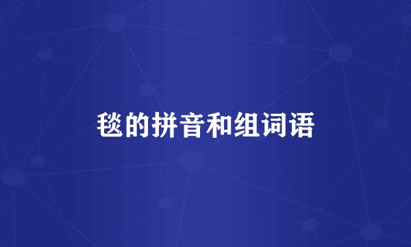 毯的拼音和组词语