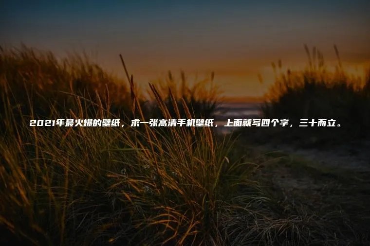 2021年最火爆的壁纸，求一张高清手机壁纸，上面就写四个字，三十而立。
