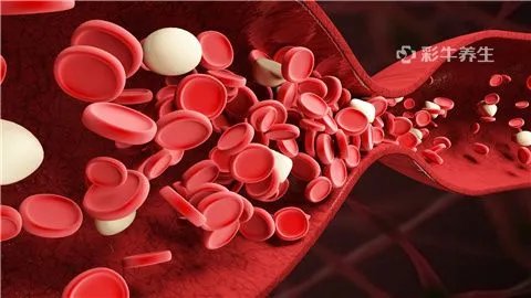 球蛋白低怎么回事