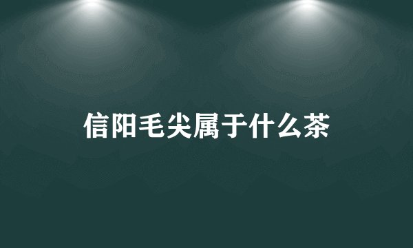 信阳毛尖属于什么茶
