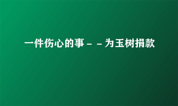 一件伤心的事－－为玉树捐款