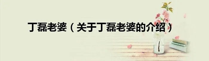 丁磊老婆（关于丁磊老婆的介绍）