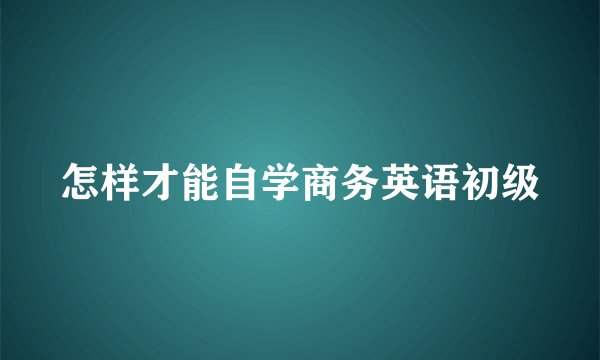 怎样才能自学商务英语初级