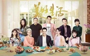 电视剧《美好生活》主要讲的是什么？