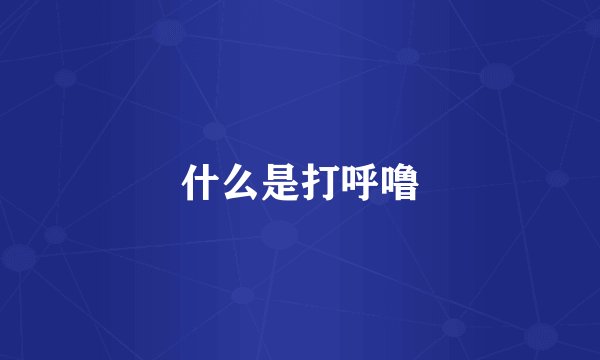 什么是打呼噜