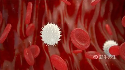 球蛋白低怎么回事