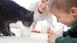 小孩有黑眼圈应该怎么办