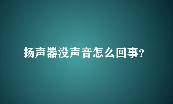 扬声器没声音怎么回事？