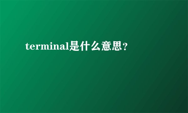 terminal是什么意思？
