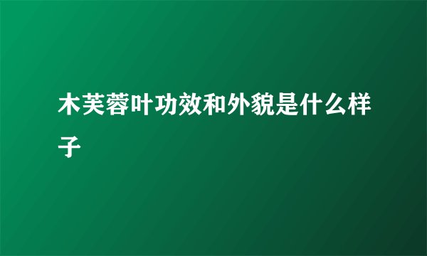 木芙蓉叶功效和外貌是什么样子