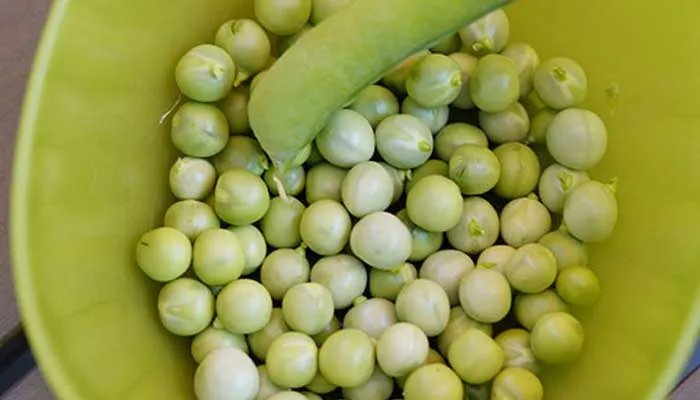 雪豆的功效与作用