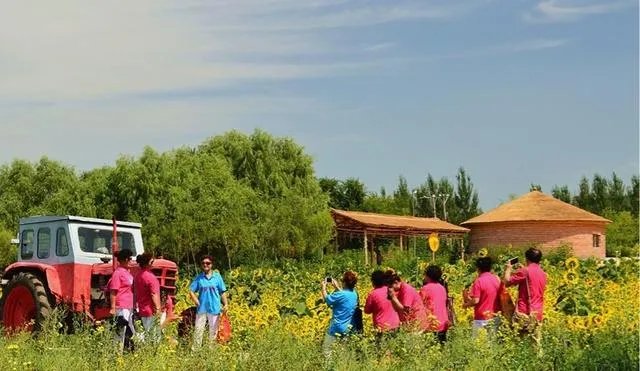 哈尔滨有哪些免费的景点？