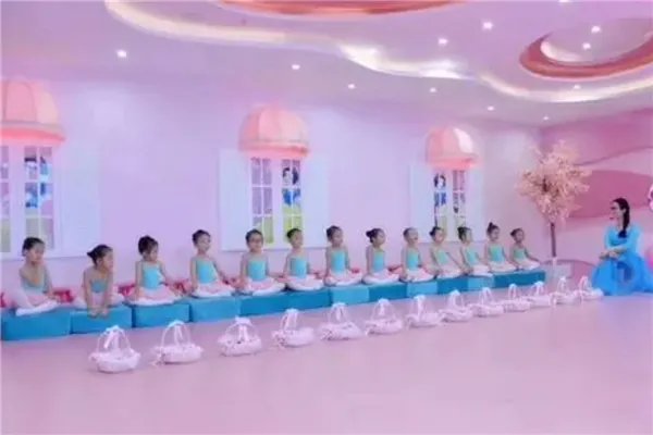 舞蹈加盟10大品牌排行榜 嘻哈帮街舞上榜,第八一流品牌