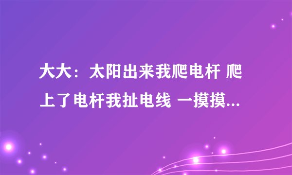 大大：太阳出来我爬电杆 爬上了电杆我扯电线 一摸摸到了高压线啊 把我送进了阎王殿 我给阎王他买