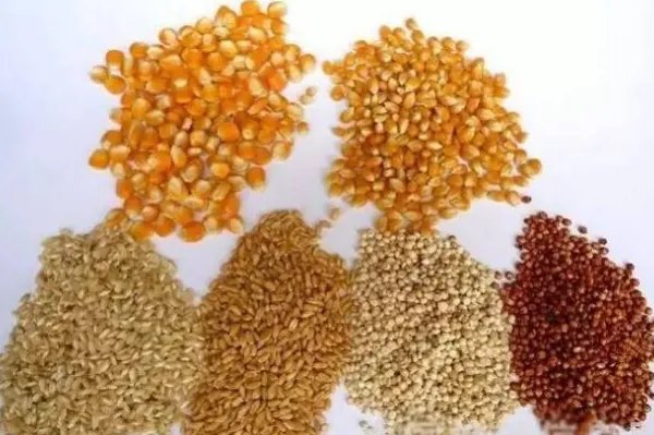 中国前十大猪饲料品牌