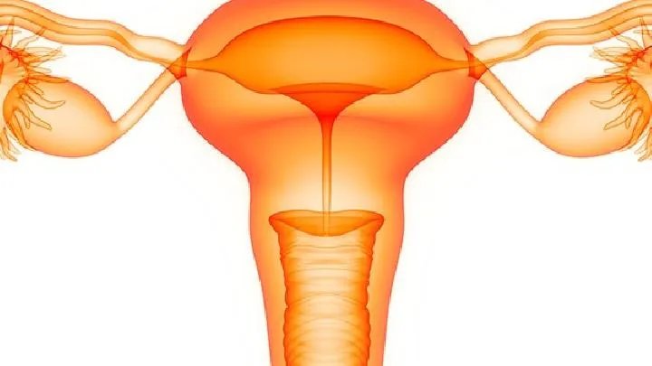 子宫内膜炎的症状一般是什么