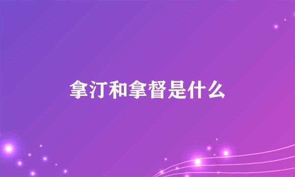 拿汀和拿督是什么