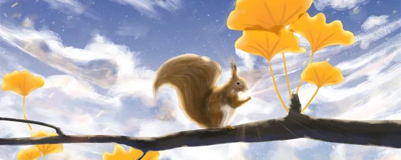 松鼠的尾巴可以起到什么作用