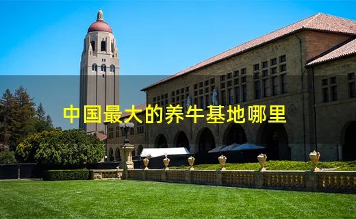 中国最大的养牛基地哪里