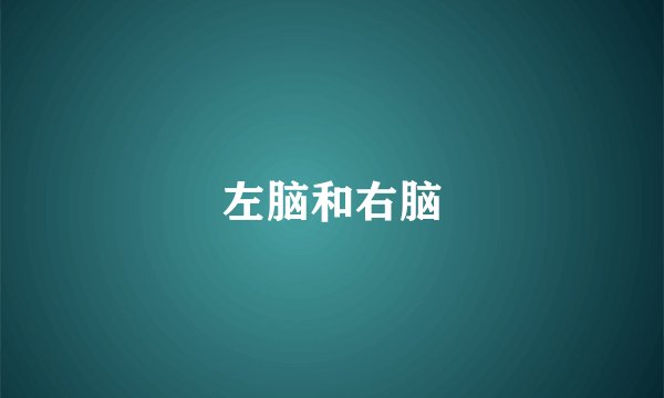 左脑和右脑