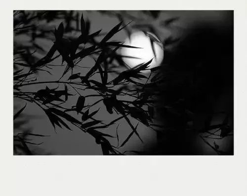 对联：月落和尚青山去，下联如何对？