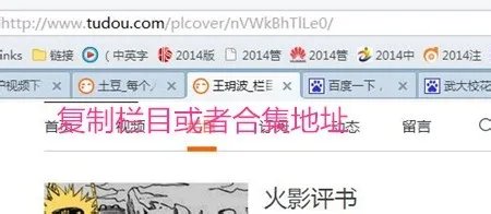 飞驴如何在线下载视频?