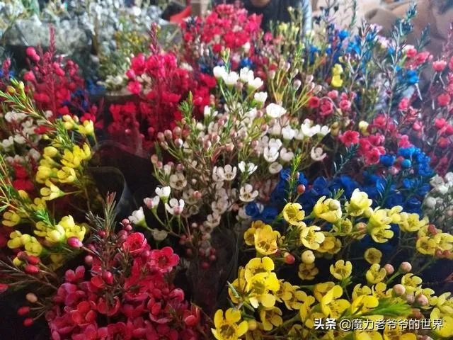 昆明哪家花店值得一去？