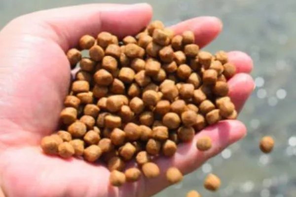 中国前十大猪饲料品牌