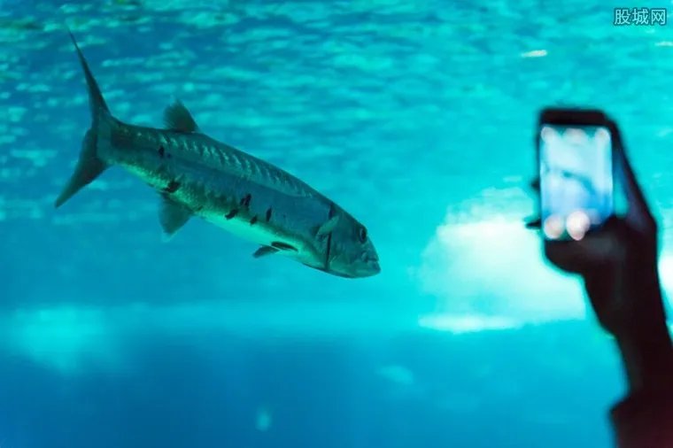 郑州海洋馆门票多少钱 郑州海洋馆游玩攻略