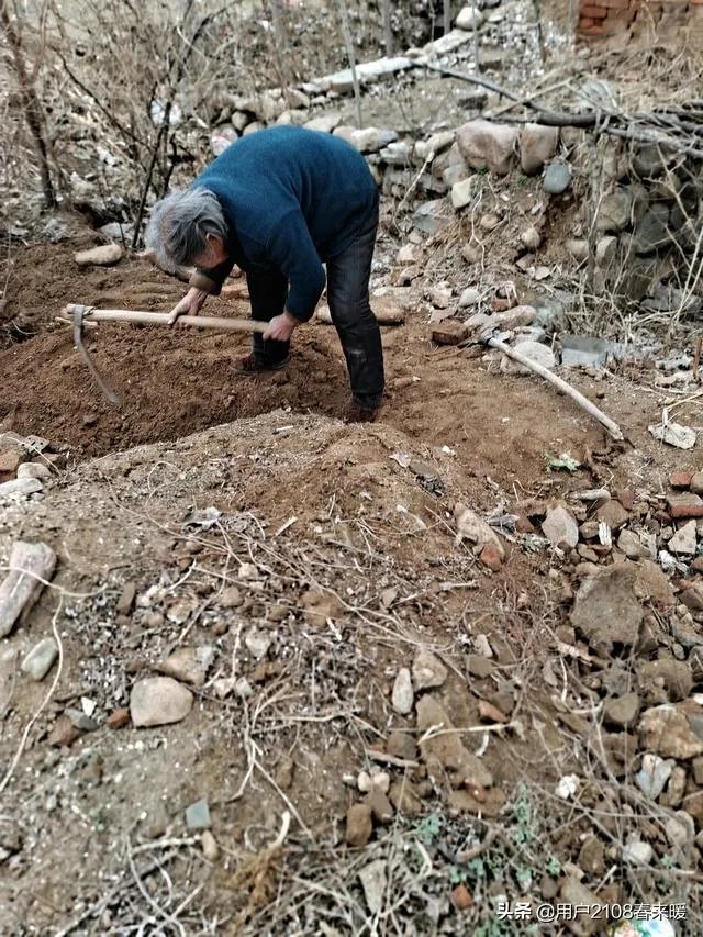 农村老人的养老问题怎么安排合适？