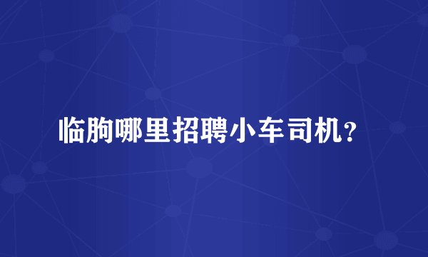 临朐哪里招聘小车司机？