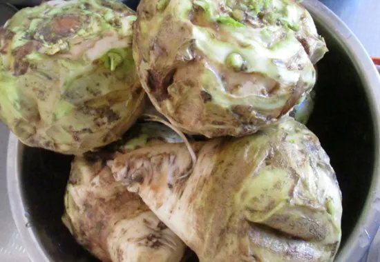 芥菜疙瘩的腌制方法。