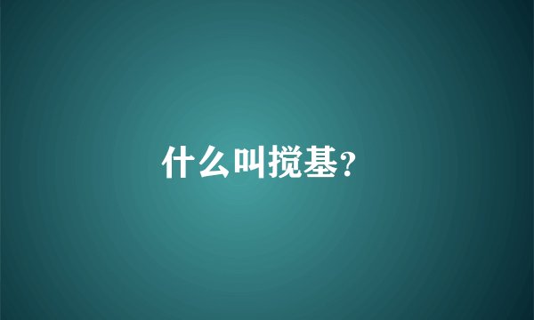 什么叫搅基？