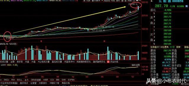暴跌的金龙鱼、五粮液是垃圾股吗？