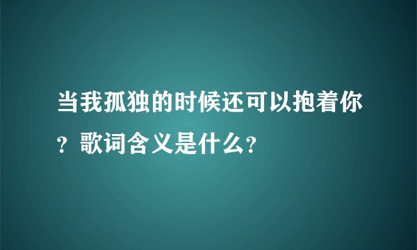 当我孤独的时候还可以抱着你？歌词含义是什么？