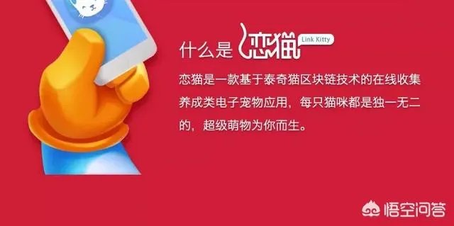 泰奇猫是谁发布的？值得关注吗？