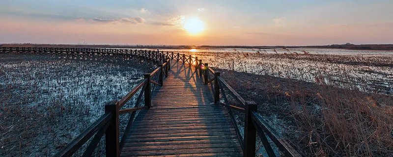 西沙湿地公园在哪 西沙湿地公园具体位置