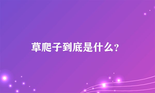 草爬子到底是什么？