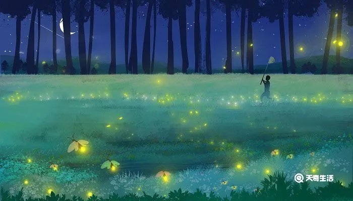 明月别枝惊鹊清风半夜鸣蝉的意思