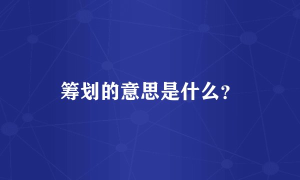 筹划的意思是什么？