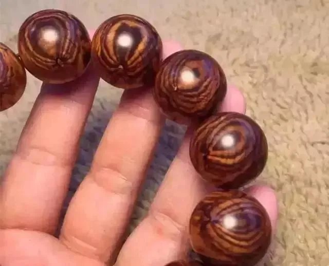 什么是真正的海黄？