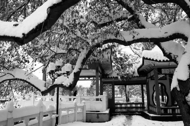 石家庄有哪些城市文化名片?