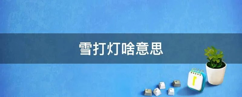 雪打灯啥意思