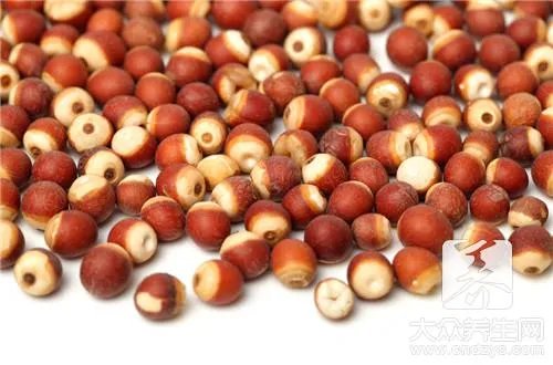芡实米的作用与功效