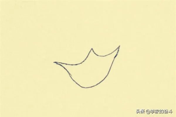 康乃馨怎么画？