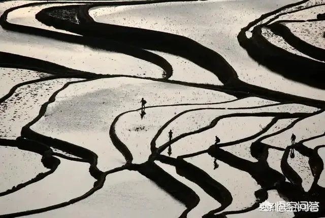 自驾游，你遇到过艳遇吗？哪里的景区才能遇到？